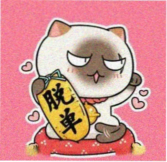 用户 一只猫耳 的头像